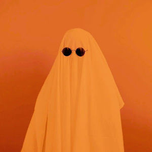 Meet your Posher, Molly